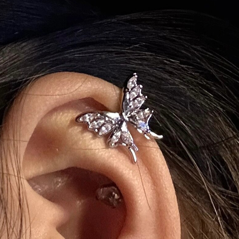 Stainless Steel Gold Color But - Conch Earring Hoop ulasan dan harga